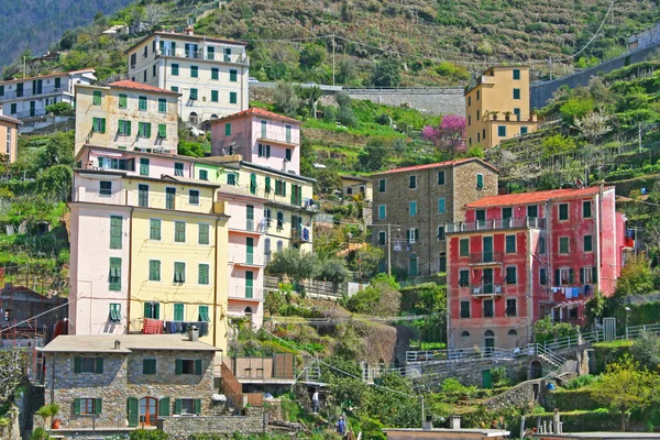 Itália. Cinque Terre. Riomaggiore — Fotografia de Stock