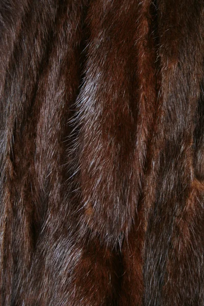 棕色水貂毛皮可以使用作为背景 — 图库照片