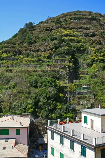 De Italia. Cinque Terre. Riomaggiore —  Fotos de Stock