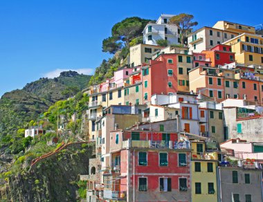 Italy. Cinque Terre. Riomaggiore village clipart