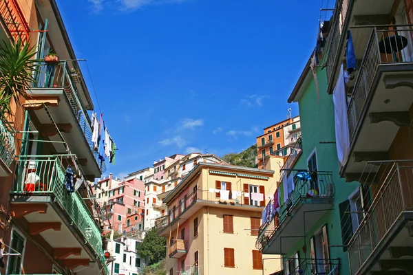 Italy. Cinque Terre. Manarola village — Stock Photo, Image