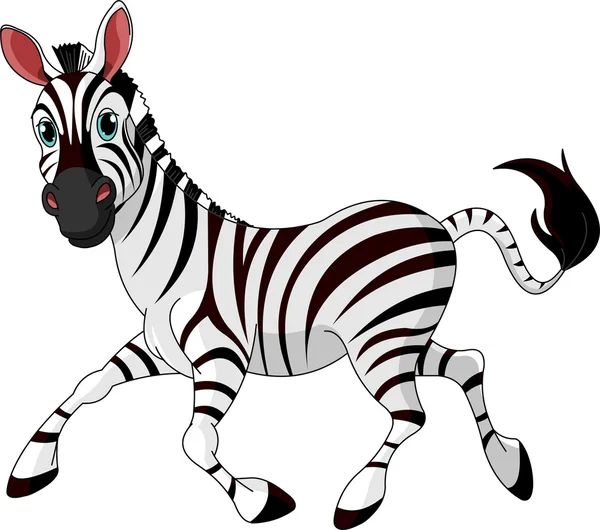 Funny running Zebra — Stock Vector