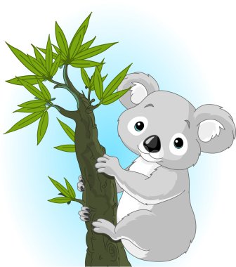 Cute koala on a tree clipart