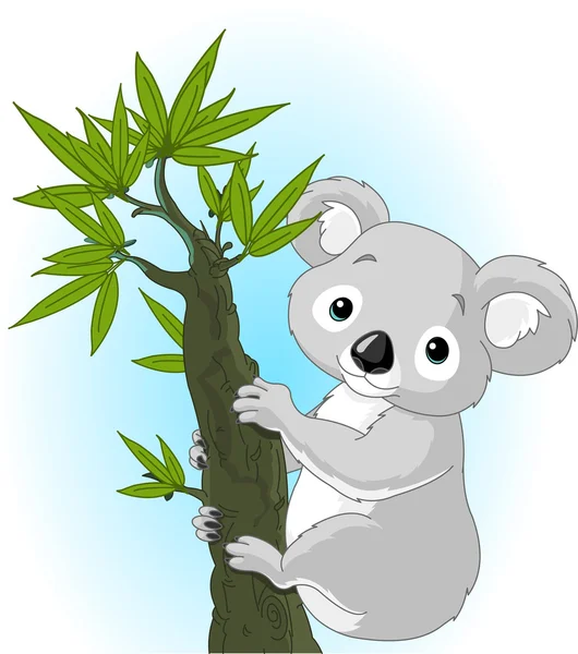 Roztomilá koala na stromě — Stockový vektor