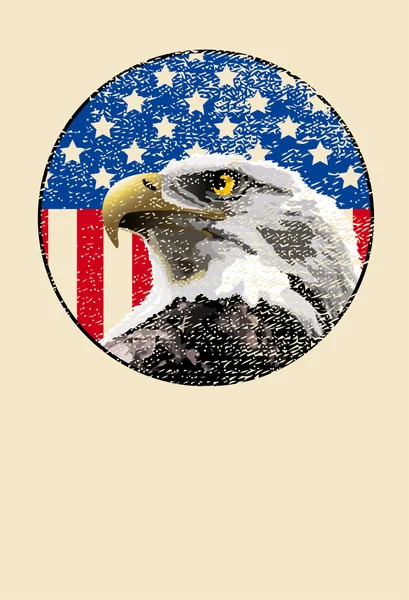 Φαλακρός αετός αμερικανική σημαία — Διανυσματικό Αρχείο
