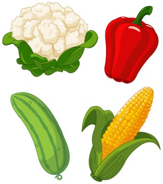 Set of vegetables2 clipart