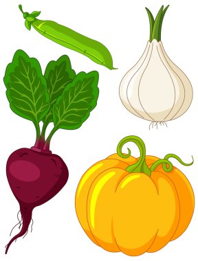 Set of vegetables4 clipart