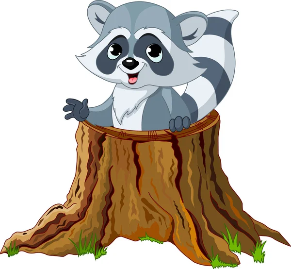 Raccoon in tree stump — Stock Vector