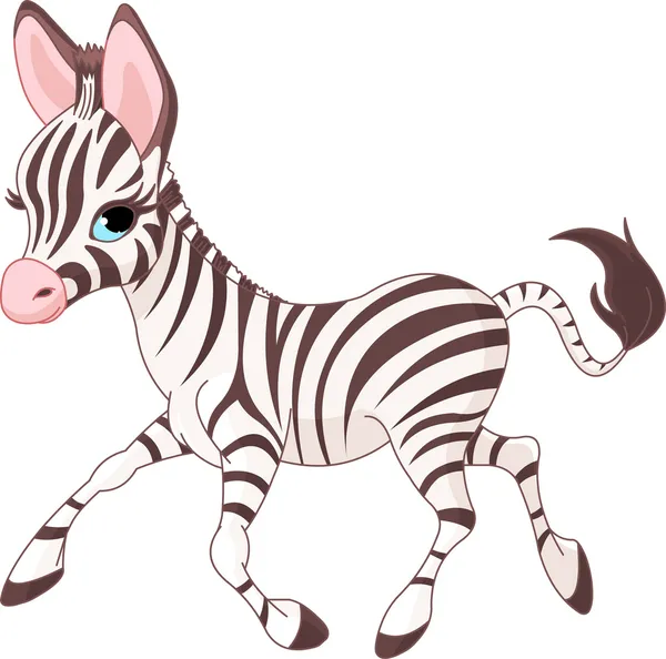 Mignon bébé en cours d'exécution Zebra — Image vectorielle
