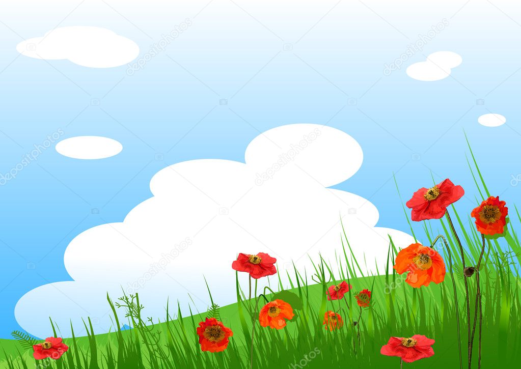 Poppies Meadow background