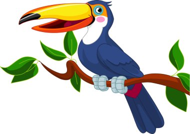 Toucan sitting on tree branch clipart