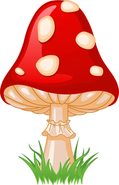 Mushroom amanita — Stock Vector
