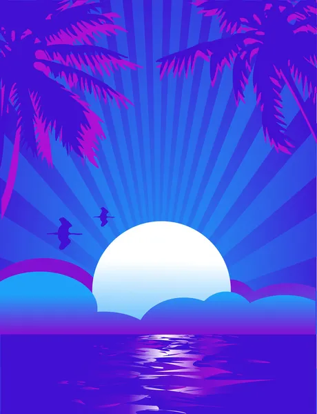 Noche tropical de verano — Archivo Imágenes Vectoriales