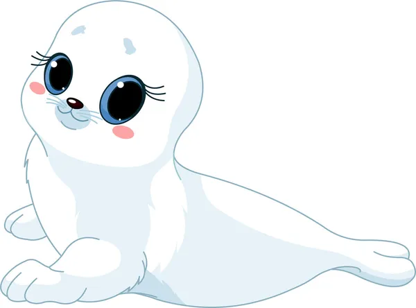 Baby seal — Stock Vector