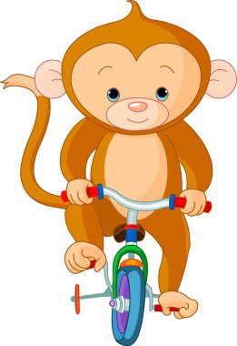 maymun bisiklet üzerinde