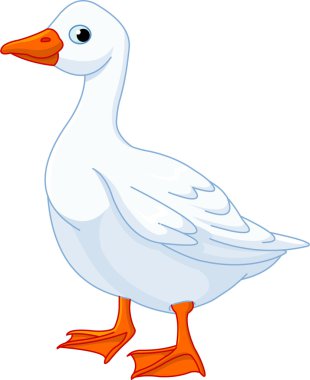 White domestic goose clipart
