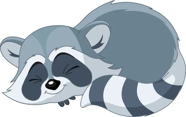 Funny sleeping cartoon raccoon — Stock Vector