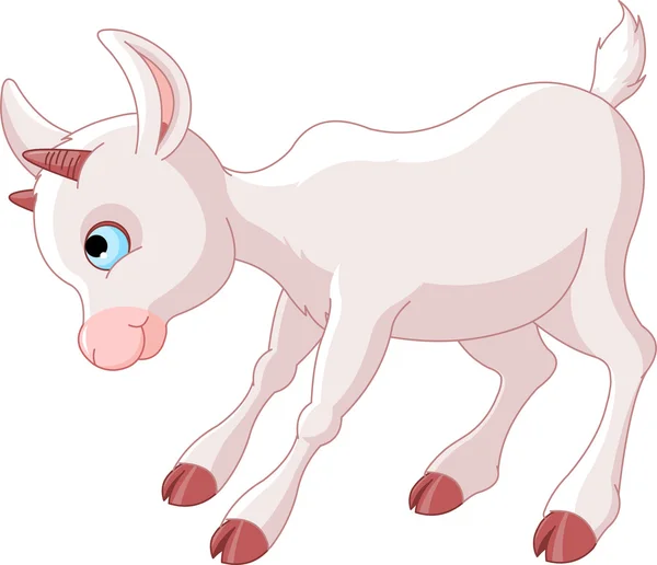 Little Baby Goat — Stock Vector