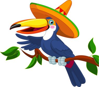 fötr şapka ile Toucan