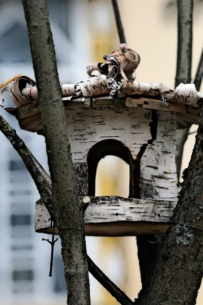 Birdhouse from a birch — Stock Photo, Image