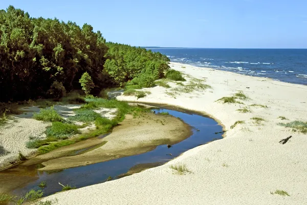 Пляж в Саулешти, Латвия — стоковое фото