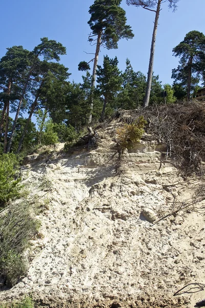 White sand dune in Saulkrasti — Stock Photo, Image