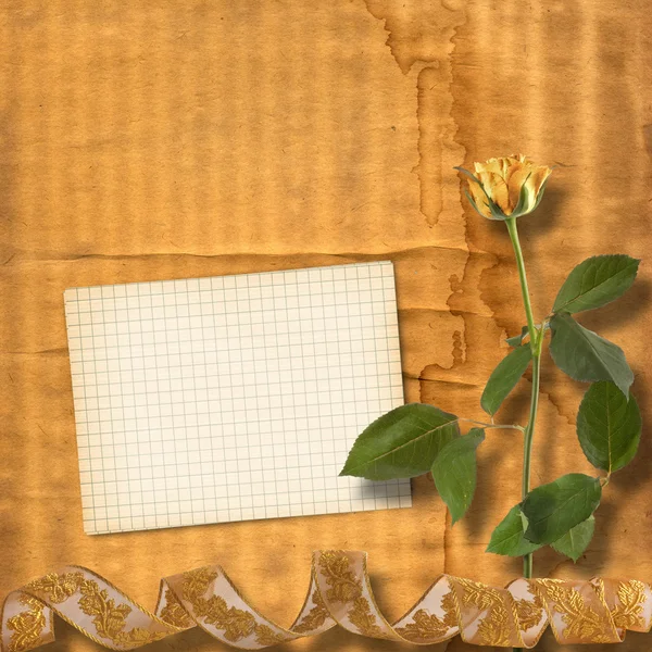 Гранд-папір для привітання з красивими трояндами — стокове фото