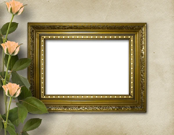 Wooden frame for photo with beautiful roses — Stock Photo, Image