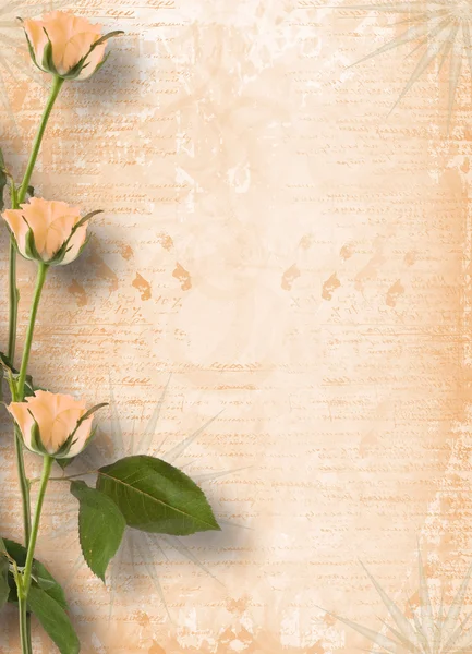 美しいバラの花とお祝いのグランジ フレーム — ストック写真