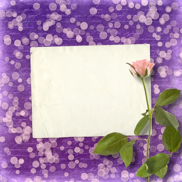 Tarjeta para invitación o felicitación con hermosa rosa en el — Foto de Stock