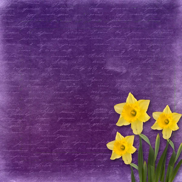 Daveti veya demet çiçek tebrik kartı — Stok fotoğraf