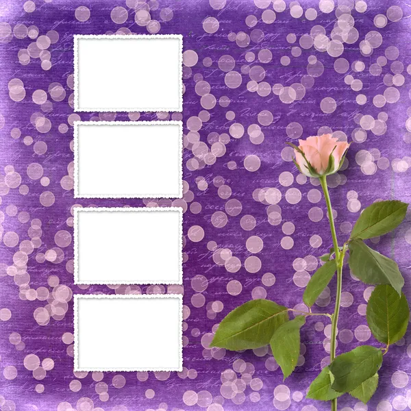 Открытка для приглашения или поздравления с красивой розой — стоковое фото