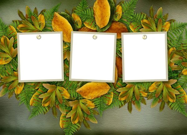 Grunge frame on the old paper for congratulation — Stock Photo, Image