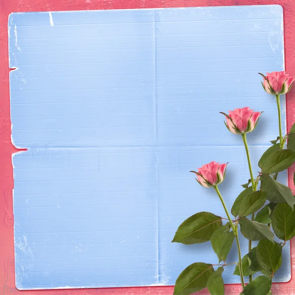 Fundo de grunge de congratulação com a bela rosa — Fotografia de Stock