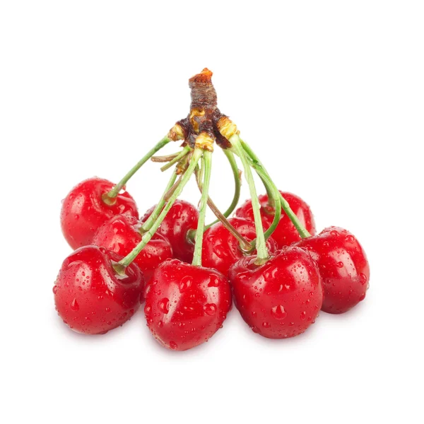 Fresh ripe cherries on a white background isolated — Stock Photo, Image