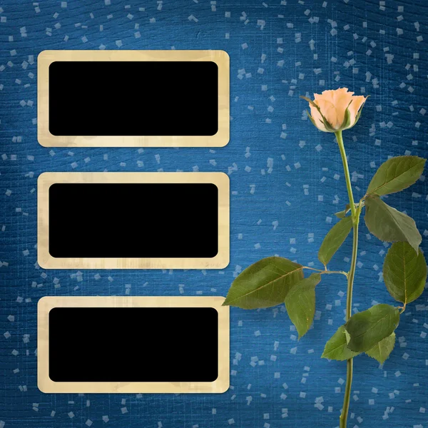 Грязный фон для поздравления красивой розой — стоковое фото
