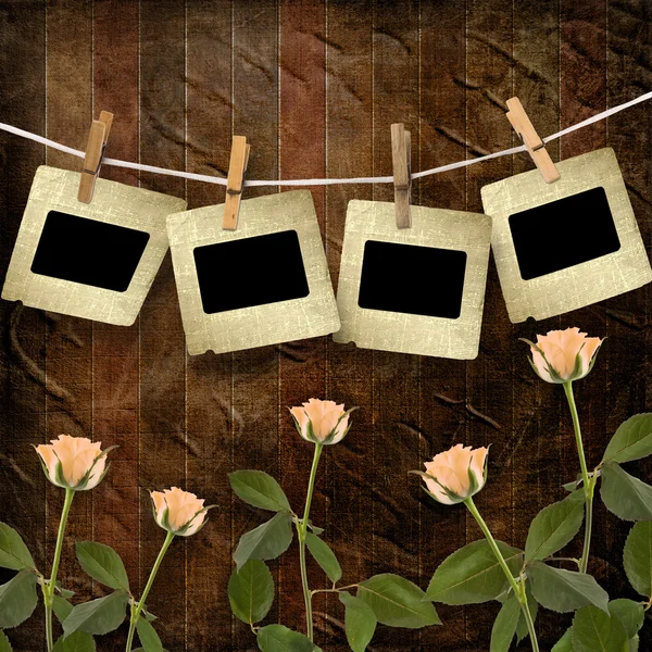 Grunge dřevěné pozadí s snímky a krásné růže — Stock fotografie