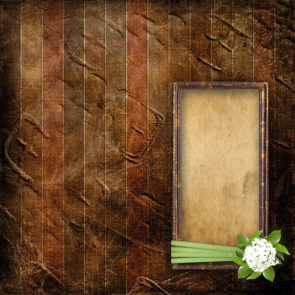 Arka planda sak dalları ile portre için çerçeve — Stok fotoğraf