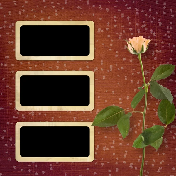 Grunge zázemí pro blahopřání s krásnou růží — Stock fotografie