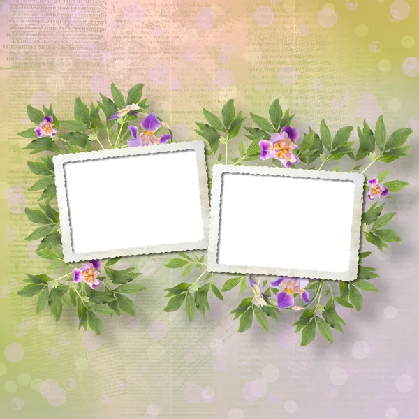 Old newspaper background with frame and bunch of flower — Stock Photo, Image