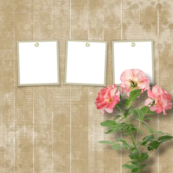 Grunge background for congratulation with beautiful rose — Stock Photo, Image