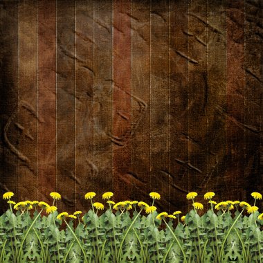 Wooden abstract background with flowers of dandelion clipart