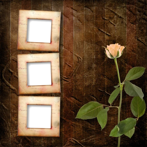 Grunge background for congratulation with beautiful rose — Stock Photo, Image