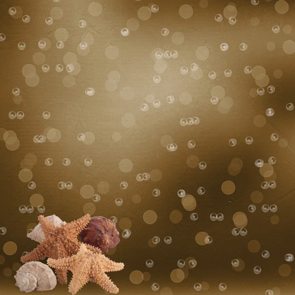 Estrelas do mar no fundo do bokeh borrão de papel abstrato — Fotografia de Stock