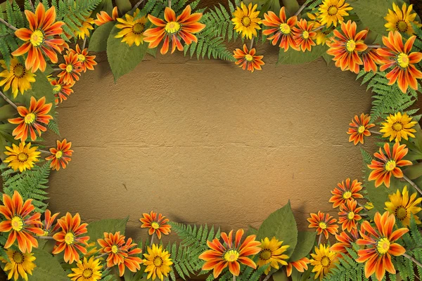 Erbario di fiori e foglie sullo sfondo floreale con fr — Foto Stock