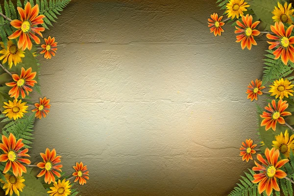 花そして葉の fr と花の背景の標本 — ストック写真