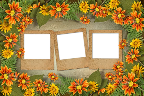 꽃과 꽃 배경과 fr에 잎의 식물 표본 상자 — 스톡 사진
