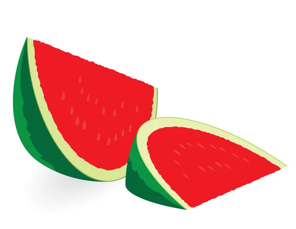 Wassermelone — Stockvektor