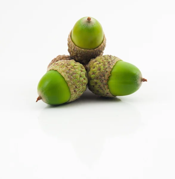 stock image Three Green Acorns