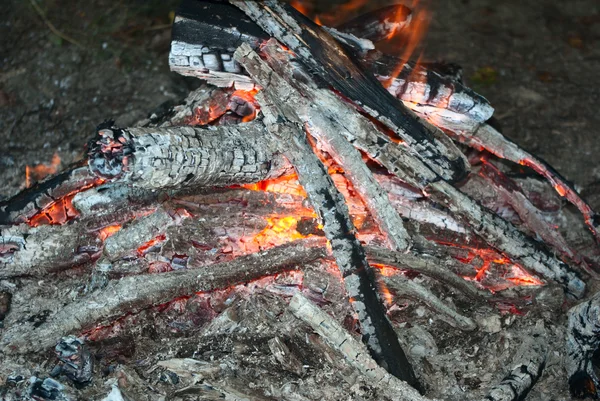 stock image Firewood in flames
